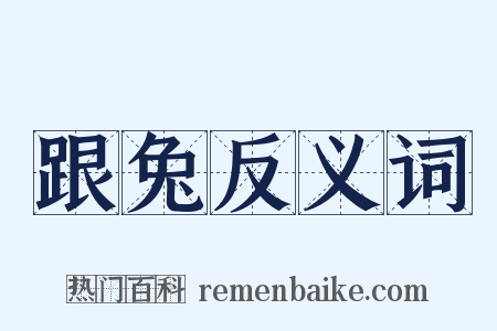 跟兔反义词是什么意思的图片